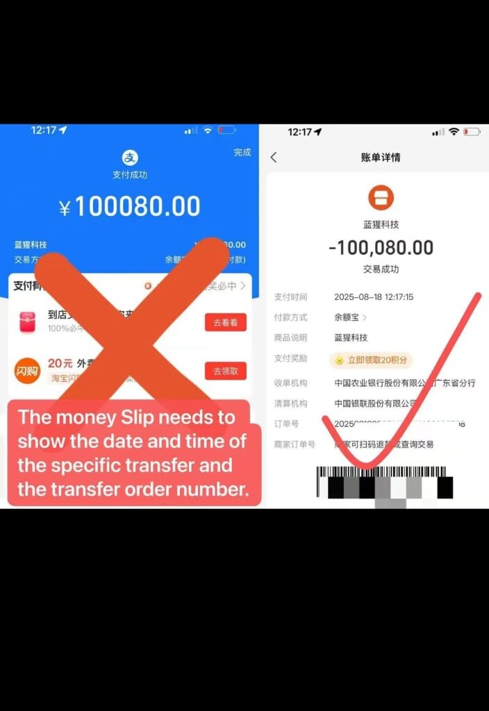 Alipay transaction detail for proof vs blue payment success screen